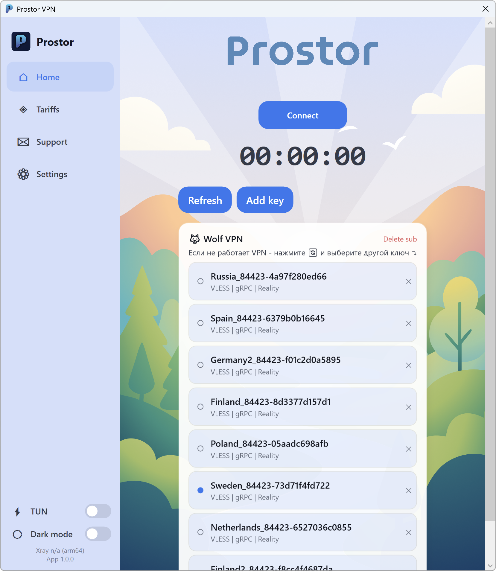 Окно приложения Prostor